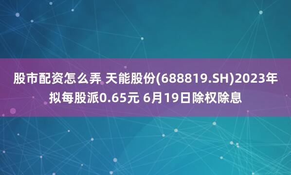股市配资怎么弄 天能股份(688819.SH)2023年拟每股派0.65元 6月19日除权除息