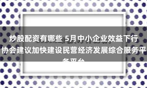 炒股配资有哪些 5月中小企业效益下行，协会建议加快建设民营经济发展综合服务平台